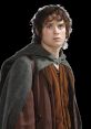 Frodo` In the world of Middle-earth, the name "Frodo" is synonymous with an epic journey, bravery, and sacrifice. The first