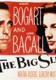 The Big Sleep Movie The Big Sleep Movie 