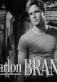 A Streetcar Named Desire (Marlon Brando)e Movie A Streetcar Named Desire (Marlon Brando)e Movie 