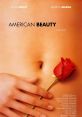 American Beauty Movie American Beauty Movie 