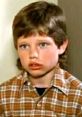 Young boy with a serious expression, wearing a plaid shirt, known for his role as Jake Malatesta in classic TV series.