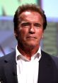 Arnold Schwarzenegger presenting with a serious expression, showcasing his iconic style and charisma at a public event.