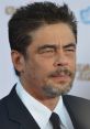 Benicio Del Toro Benicio Del Toro clips and quotes.