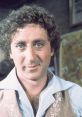 Gene Wilder with curly hair and blue eyes, smiling warmly, capturing his iconic charm from classic films.