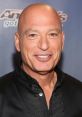 Howie Mandel smiles at a red carpet event, showcasing his signature bald head and engaging personality.