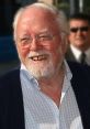 Richard Attenborough smiling warmly, wearing a blue cardigan over a checked shirt, showcasing his iconic personality.