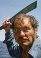 Robert Shaw Robert Shaw clips and quotes.