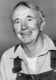 Walter Brennan smiles warmly, showcasing his iconic roles in classic Hollywood films and his memorable character portrayals.