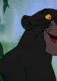 Bagheera Bagheera clips and quotes.