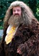 Rubeus Hagrid in a shaggy brown coat with a polka dot tie, standing in a lush forest setting, exuding warmth and magic.