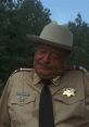 Sheriff Buford T. Justice in uniform, sporting a hat, with a reflective expression against a wooded backdrop.