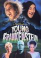 Classic cast from *Young Frankenstein* (1974) with iconic characters in a spooky setting, showcasing Mel Brooks' comedic genius.