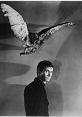 Norman Bates from "Psycho" (1960), gazing back with an ominous owl overhead, evokes suspense and psychological intrigue.