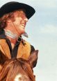 Smiling cowboy character on horseback from Blazing Saddles (1974) against a clear blue sky, capturing Western comedy essence.