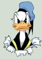 Donald Duck with an angry expression, wearing a blue hat, breaking through a torn surface with a humorous flair.