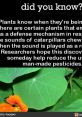 Plants can detect caterpillar sounds and adapt, potentially reducing reliance on pesticides. Fascinating environmental facts!