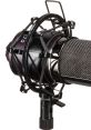 Close-up of a professional microphone in a shock mount setup, ideal for studio recording and sound quality enhancement.