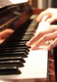 Close-up of hands playing piano keys, showcasing musical technique and artistry on a polished grand piano.