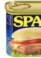 Can of Spam featuring a sandwich with lettuce, tomato, cheese, and mustard, showcasing a serving suggestion for fans.