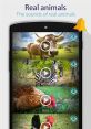 Sounds of real animals: cow, zebra, and hen in a mobile app interface, designed for animal enthusiasts and kids.