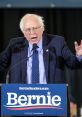 Bernie Sanders passionately speaks during his 2020 campaign rally, emphasizing progressive values and social justice.