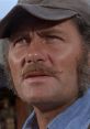 Quint from Jaws, displaying determination and grit, ready to confront the great white shark threat.