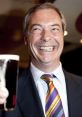 Nigel Farage smiling and raising a glass of beer, wearing a colorful striped tie at a celebratory event.