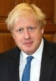 Boris Johnson poses for a portrait, wearing a suit and patterned tie, against a wooden backdrop.