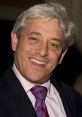 John Bercow smiles confidently, wearing a dark suit and a patterned tie, showcasing his charismatic personality.