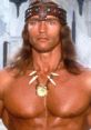 Arnold Schwarzenegger as a warrior with long hair, tribal necklace, and fierce expression in a fantasy setting.