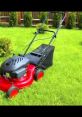 Red lawn mower on lush green grass, showcasing effective lawn maintenance for a tidy outdoor space.