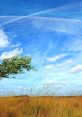 A vibrant landscape with swaying grass and a tree, showcasing the effects of wind on nature under a blue sky.