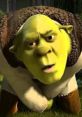 Shrek with a serious expression, showcasing his iconic green face and outfit, embodying humor and charm in animated storytelling.