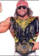 Macho Man Randy Savage flexes muscles, wearing a vibrant tiger-striped outfit and iconic championship belt.