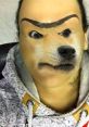 Woman with doge face filter, exaggerated features, embodying German MLG meme humor. Perfect for Deutsche Memes enthusiasts.