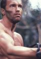 Arnold Schwarzenegger with a serious expression, showcasing his iconic role in an action-packed movie scene.