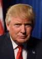 Portrait of President Donald Trump, featuring his signature hairstyle and red tie, against a dark blue background.