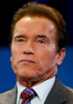 Arnold Schwarzenegger speaking at a political event, showcasing his influential role in politics and public service.