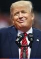 Donald Trump smiling at a rally, wearing a suit and red tie, speaking into microphones, showcasing his trademark gestures.