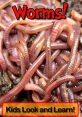 Colorful worms wriggling on soil, perfect for kids to explore and learn about nature's decomposers. Fun and educational!