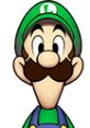 Luigi from Mario & Luigi: Superstar Saga, showcasing his signature green hat and playful expression.