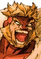 Sabretooth : Marvel vs. Capcom 2 Sabretooth from Marvel vs. Capcom 2: New Age of Heroes.