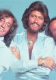 Portrait of The Bee Gees smiling, showcasing their iconic hairstyles and stylish outfits from the disco era.