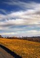 Golden fields under a vast blue sky with wispy clouds, bordered by a rustic wooden fence in a serene countryside landscape.