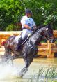 Equestrian Events Equestrian Events clips and effects, available to play and download.