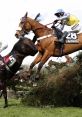 Horse Racing (Chases) Horse Racing (Chases) clips and effects, available to play and download.