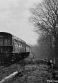 Diesel Multiple Unit train traveling along a scenic, tree-lined track in vintage black and white photography.