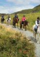 Pony Trekking Pony Trekking clips and effects, available to play and download.