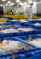 Fish Market: Grimsby Fish Market: Grimsby clips and effects, available to play and download.