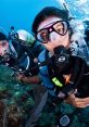 Scuba Diving Scuba Diving clips and effects, available to play and download.